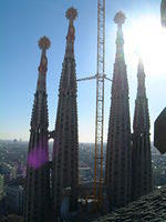 dscf0081.jpg
