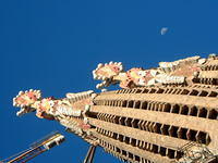 dscf0093.jpg