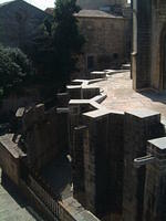 dscf0111.jpg