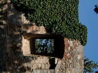 dscf0113.jpg