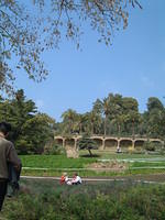 dscf0140.jpg