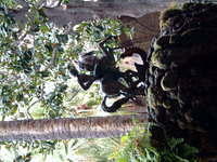 dscf0166.jpg