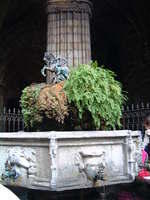dscf0170.jpg