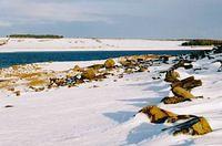 Derwent reservoir 2 - RL