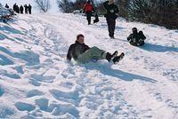 Matt sledging - RL