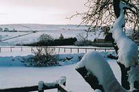 View from the garden - RL