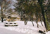View from teh garden - RL