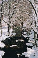 On the walk - RL
