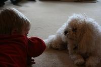 img_4366.jpg