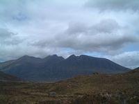 DSCF0041.JPG