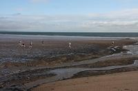 img_1072.jpg