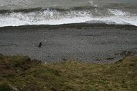 img_0871.jpg