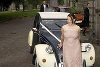 IMG_2919.jpg