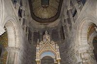 IMG_4396.jpg