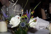 IMG_4493.jpg