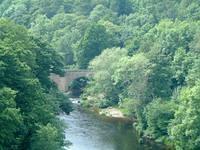 dscf0043.jpg