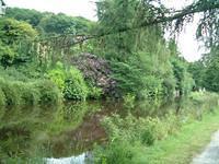dscf0051.jpg