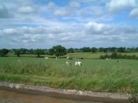 dscf0105.jpg