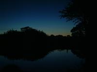 dscf0118.jpg