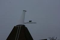 img_4598.jpg