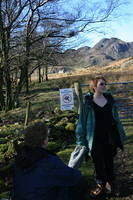 No  Rhododendrons past this sign
