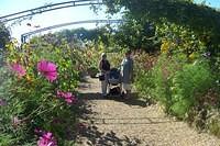 ideas for the garden - etc 160904 002.jpg