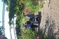 ideas for the garden - etc 160904 005.jpg