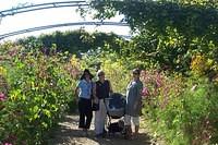ideas for the garden - etc 160904 006.jpg