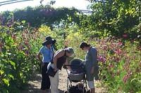 ideas for the garden - etc 160904 007.jpg